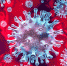 Coronavirus Outbreak - Газета Дело Октября